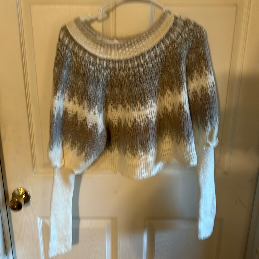Free people sweater large